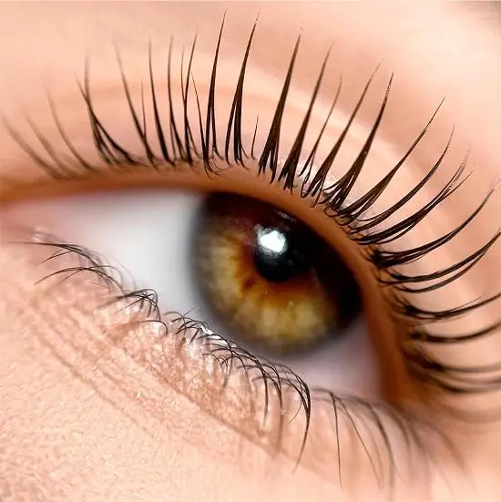 All About Eyelash Extensions