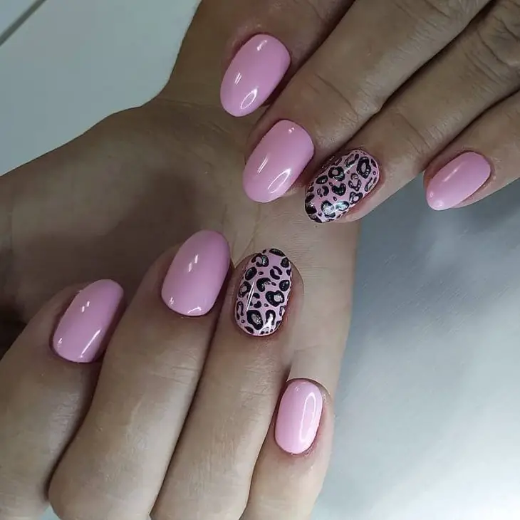 20 Fierce Leopard Nail Designs for Fall 2024: Trendy Ideas to Elevate Your Manicure