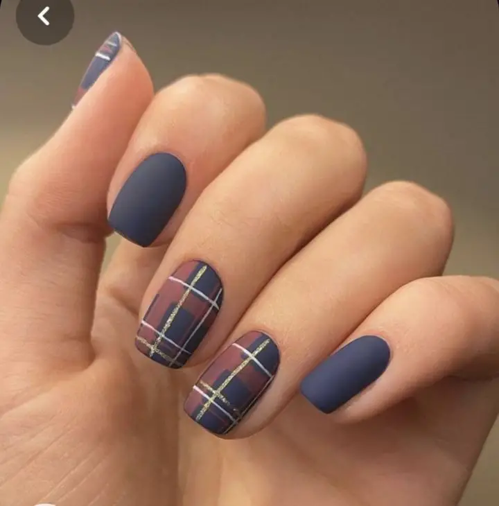 Fall Plaid Nails 2024: Trendy Manicure Ideas