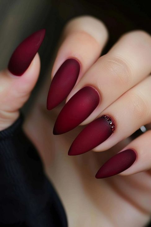 21 Chic Cherry Wine Nail Designs to Elevate Your Manicure Game